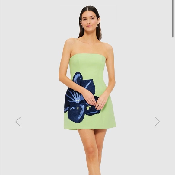Leo Lin Dresses & Skirts - Leo Lin Embroidered Bustier Mini Dress - Hibiscus in Matcha